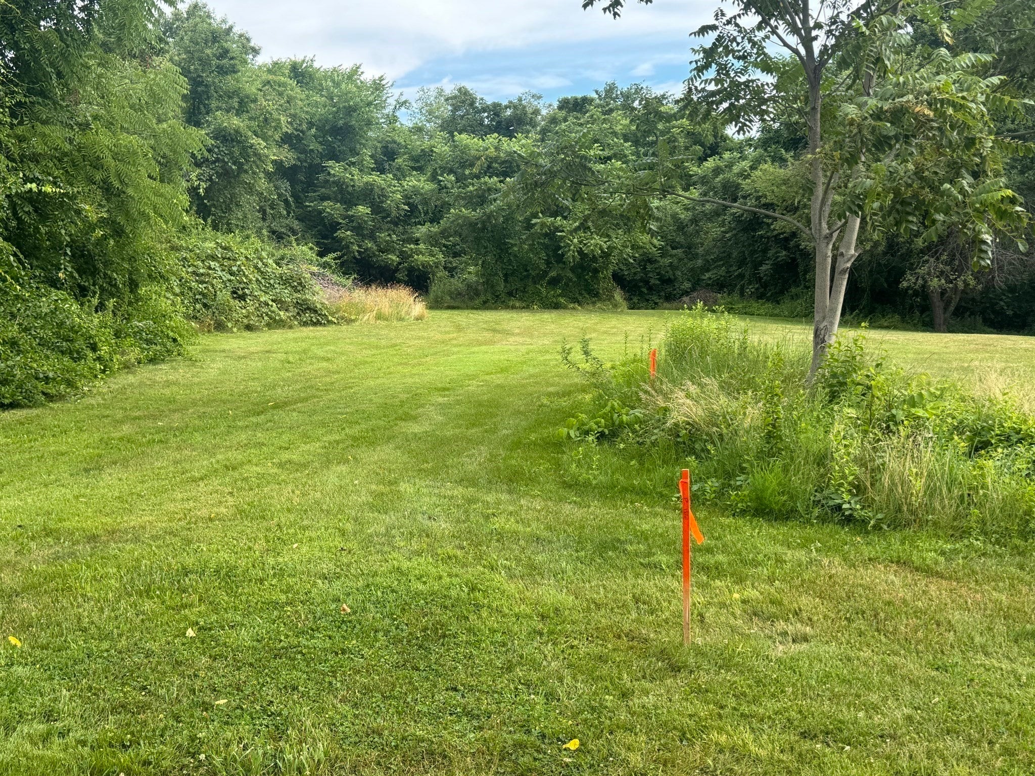 19 Oak Street, Westborough, MA, 19 Oak Street, Westborough, MA Photo #5