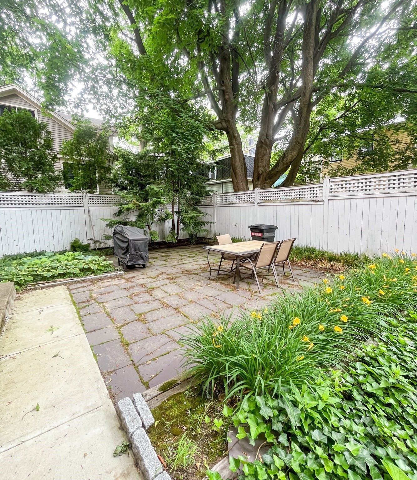 35 William St #2, Cambridge, MA, 35 William St #2, Cambridge, MA Photo #11