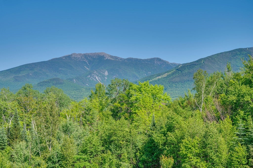 181 Toad Hill Rd, Franconia, NH, 181 Toad Hill Rd, Franconia, NH Photo #5