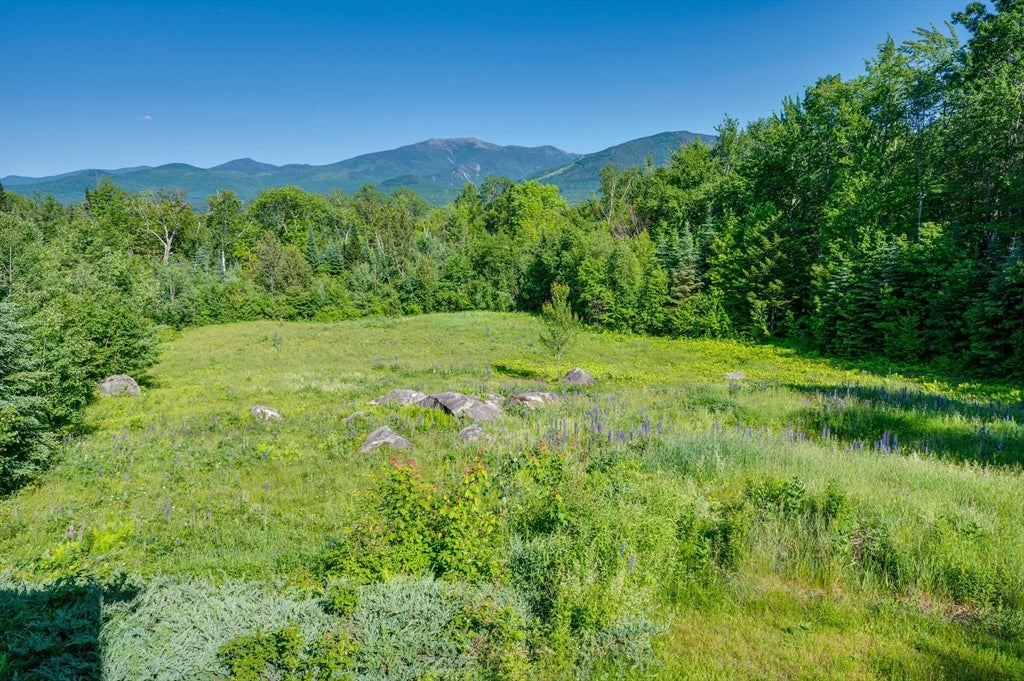 181 Toad Hill Rd, Franconia, NH, 181 Toad Hill Rd, Franconia, NH Photo #4