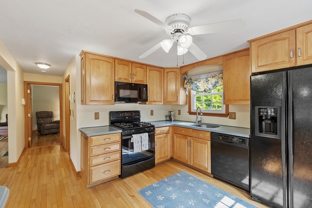 12 Willow Drive