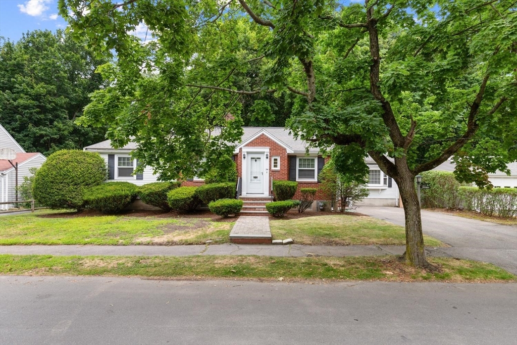 54 Alvin Ave