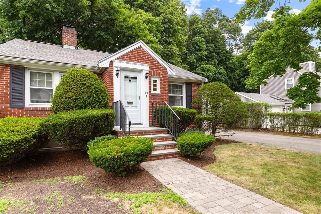 54 Alvin Ave