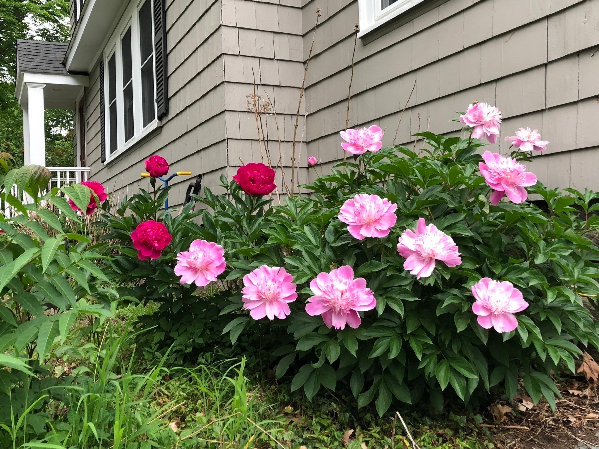 24 Thorndike Street, Reading, MA, 24 Thorndike Street, Reading, MA Photo #28