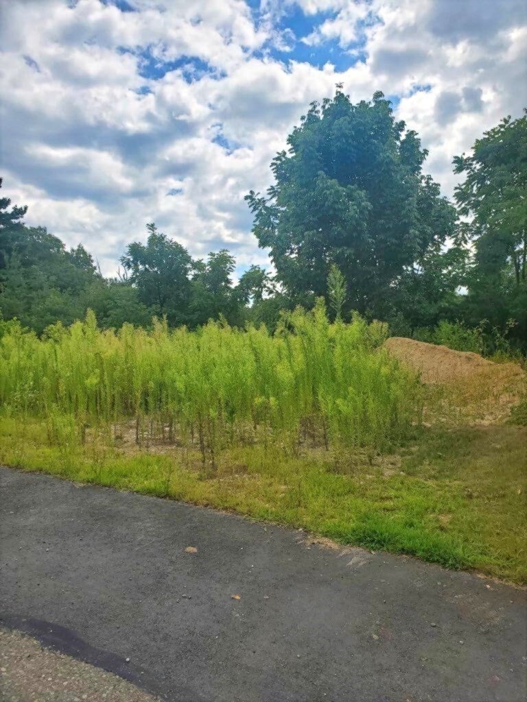 7 Mount View Way
