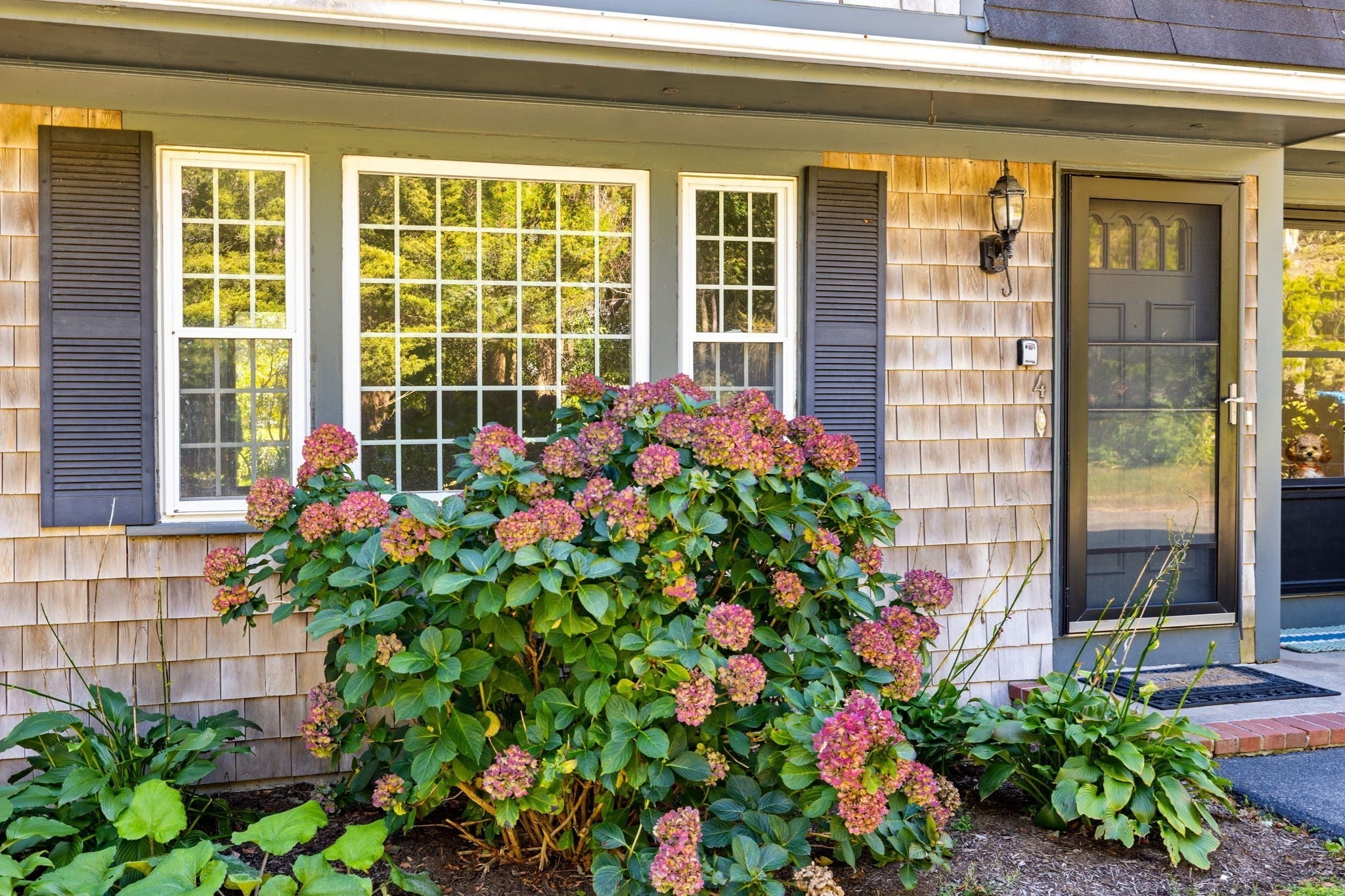 374 Davisville Rd 4