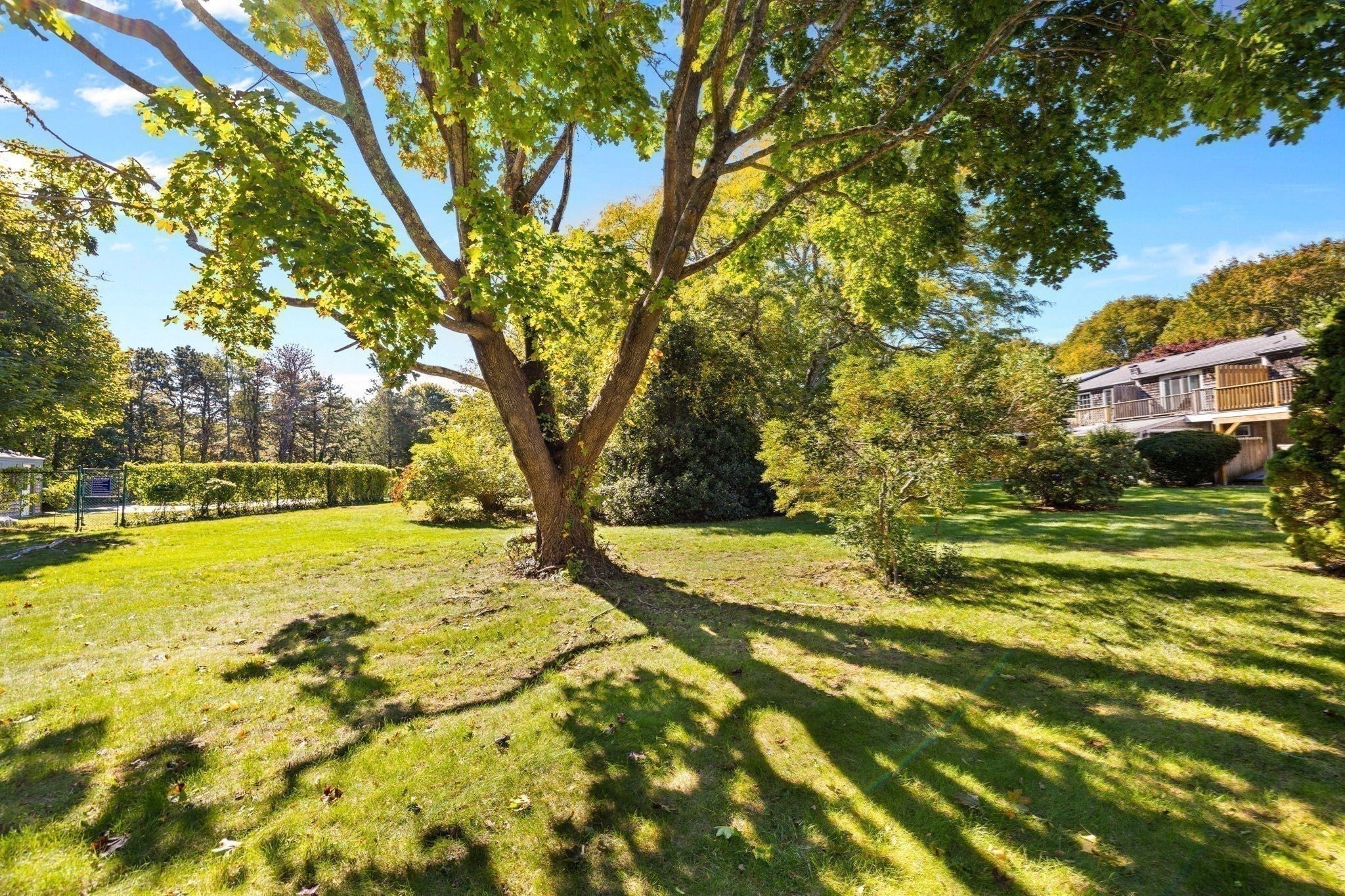 374 Davisville Rd #4, Falmouth, MA, 374 Davisville Rd #4, Falmouth, MA Photo #29