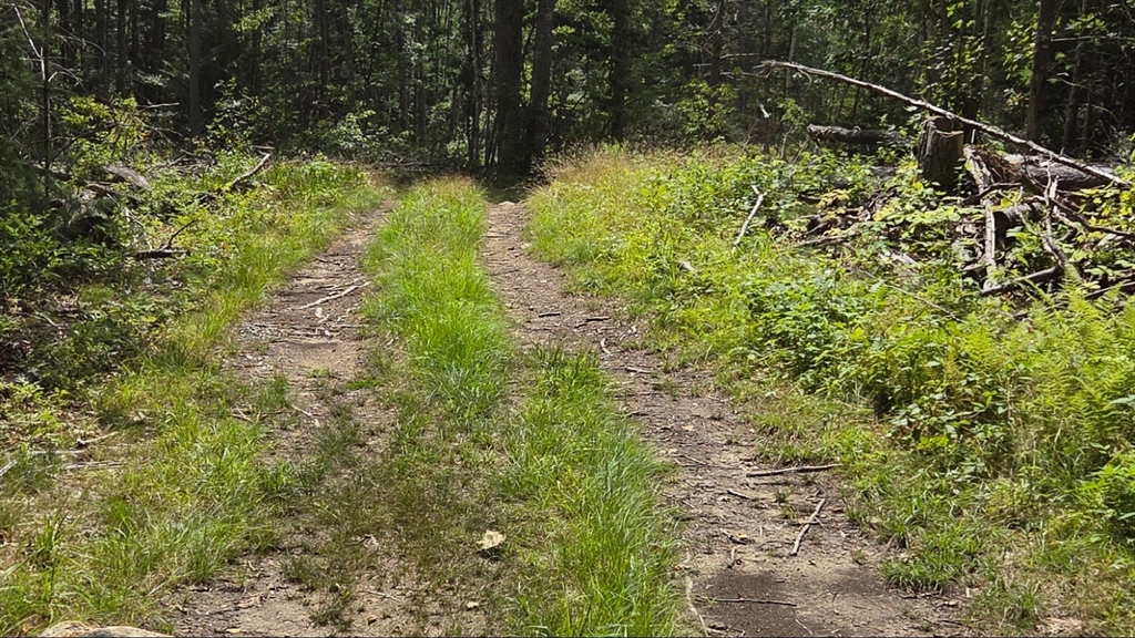 Lot B1&B2 Baldwinville Road