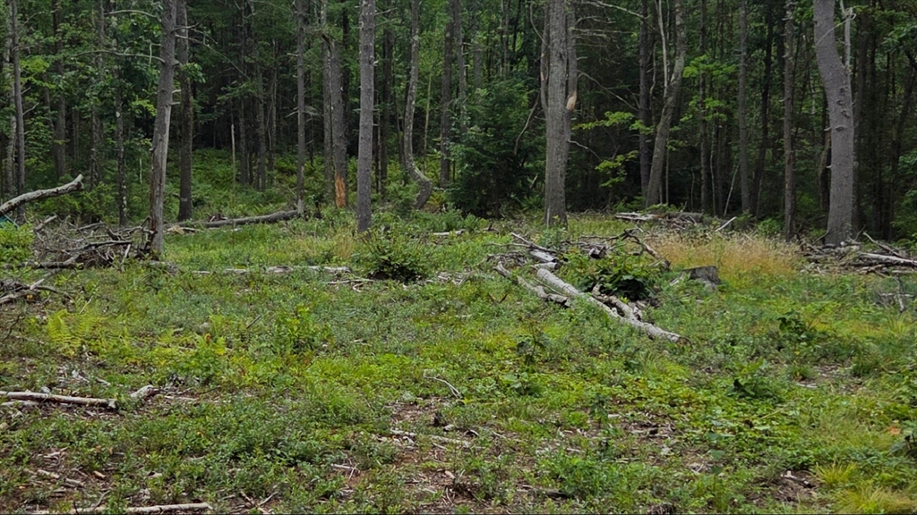 Lot B1&B2 Baldwinville Road