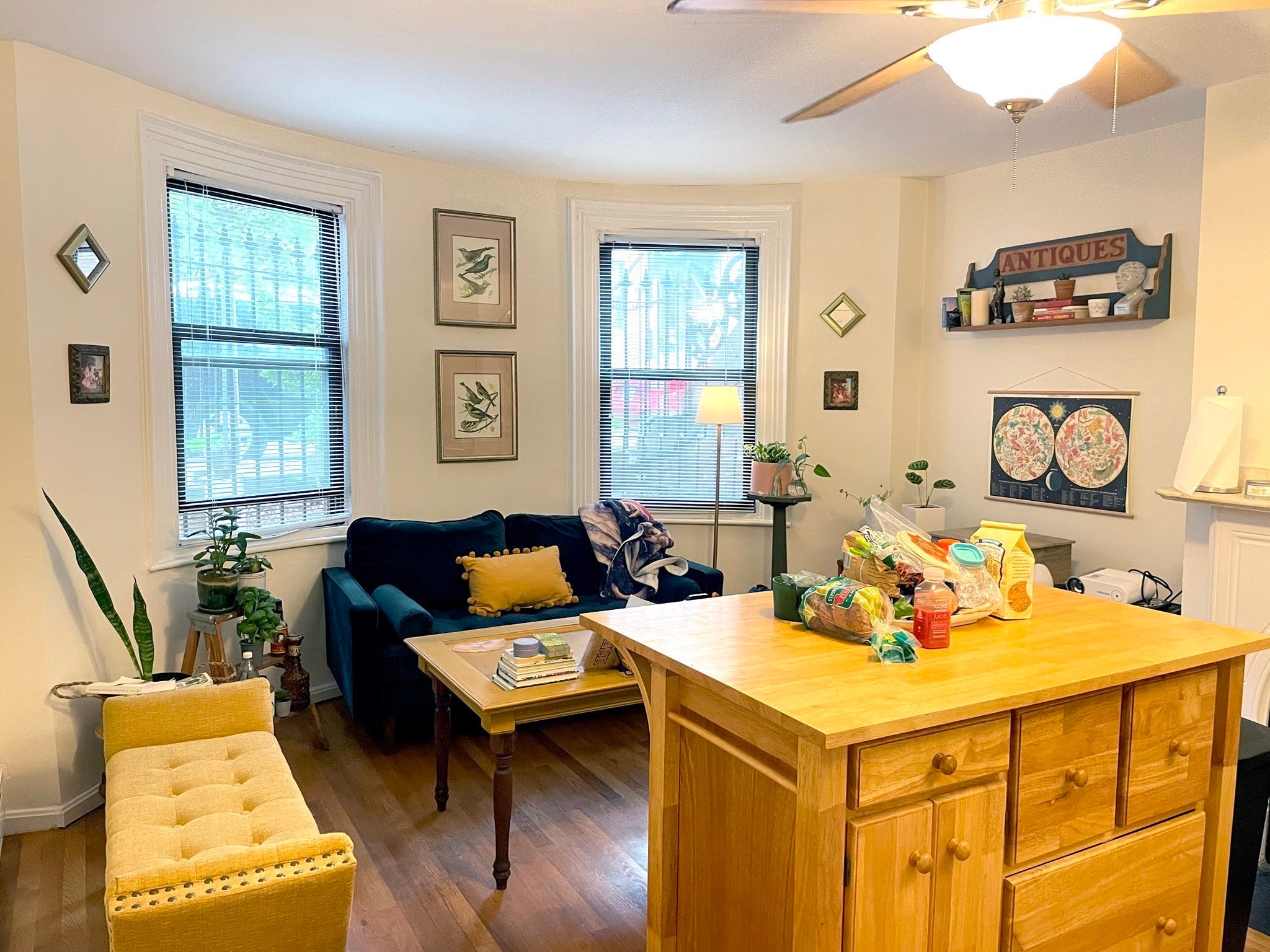 81 E Brookline St #1, Boston, MA, 81 E Brookline St #1, Boston, MA Photo #1