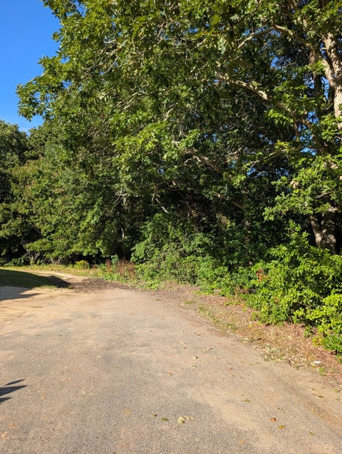 Photo of Lot 2-B Pondview Ave, Yarmouth, MA 02673 (MLS # 73582452)