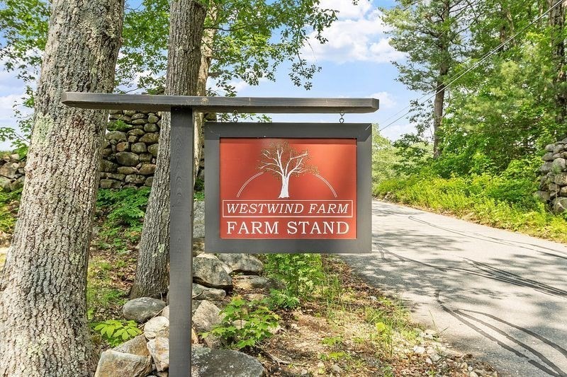 17 Hastings Rd