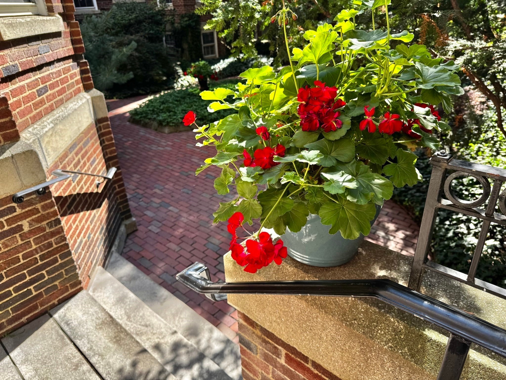 43 Linnaean ST #2A, Cambridge, MA, 43 Linnaean ST #2A, Cambridge, MA Photo #33