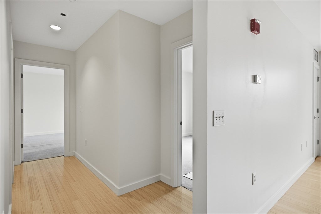 99 Chestnut Hill Ave #307, Boston, MA, 99 Chestnut Hill Ave #307, Boston, MA Photo #13