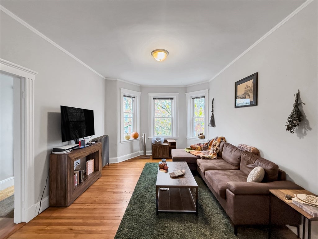 593 Centre Street #3, Boston, MA, 593 Centre Street #3, Boston, MA Photo #10