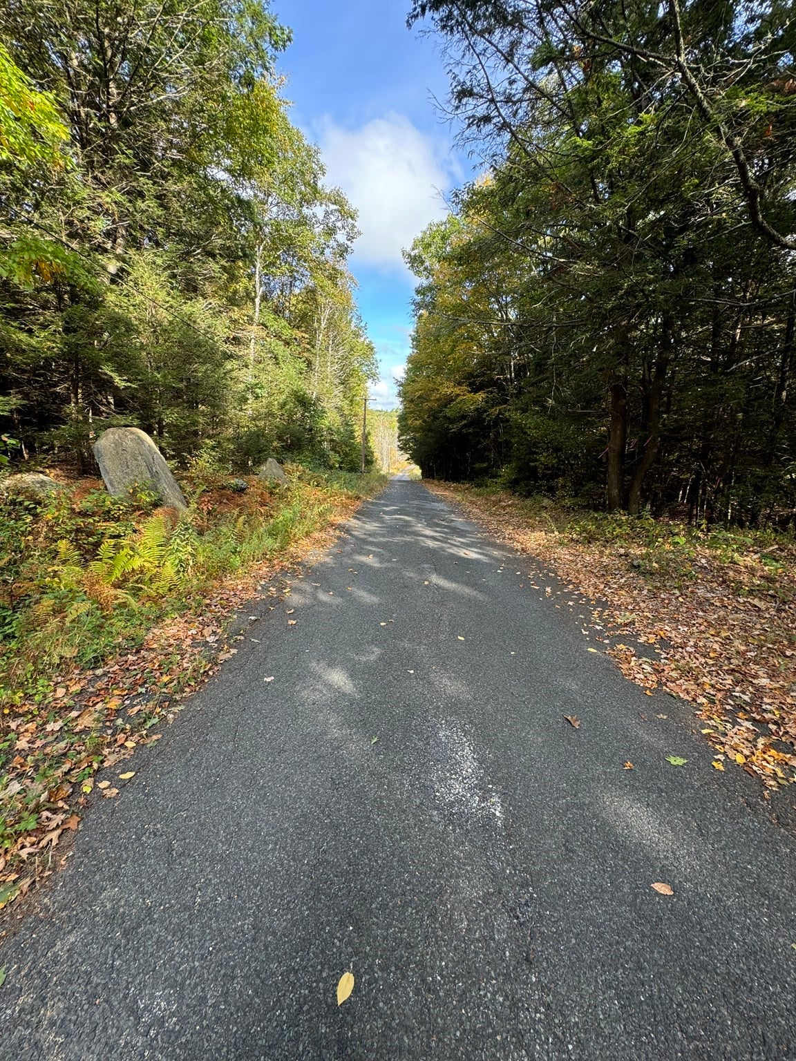 29, 31, 33 Ladd Rd