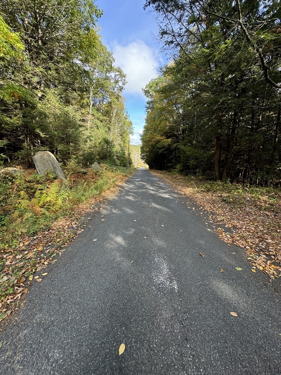 29, 31, 33 Ladd Rd
