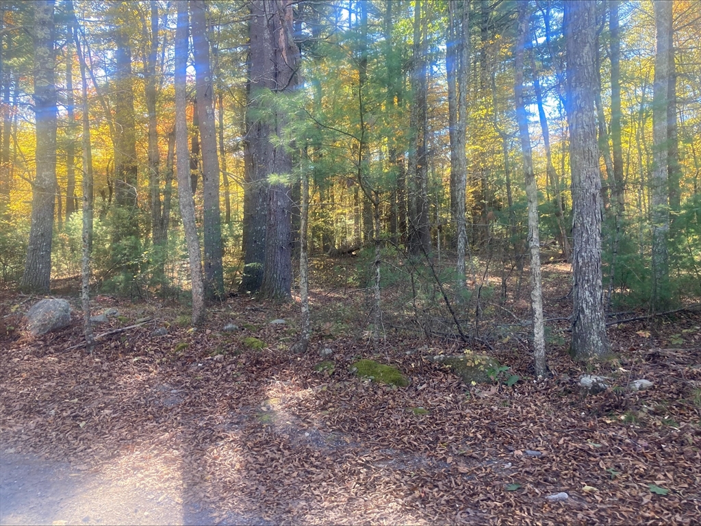 0 Yew St / White Ct (Lot 1)