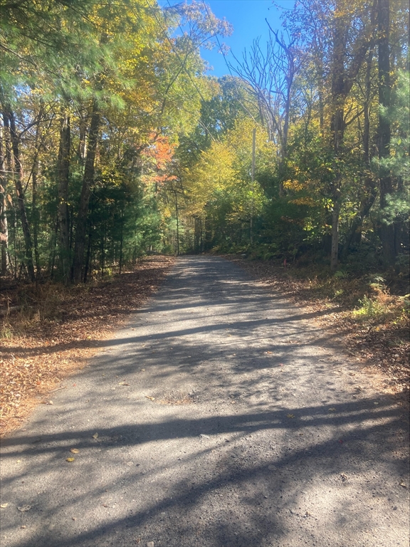0 Yew St / White Ct (Lot 1)