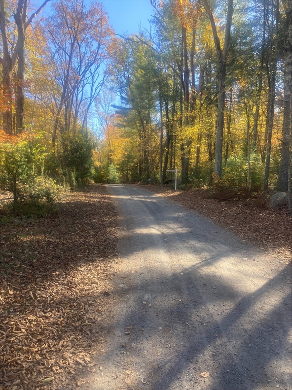 0 Yew St / White Ct (Lot 1)