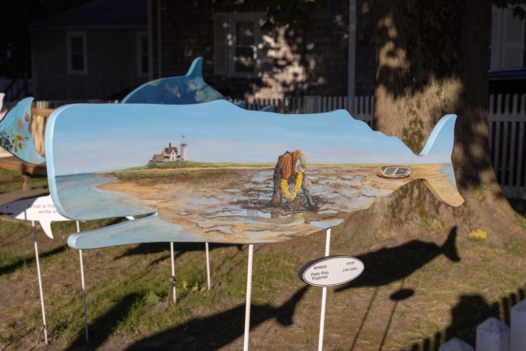 Chatham, Massachusetts 02633, United States, ,Commercial,Pending,4861