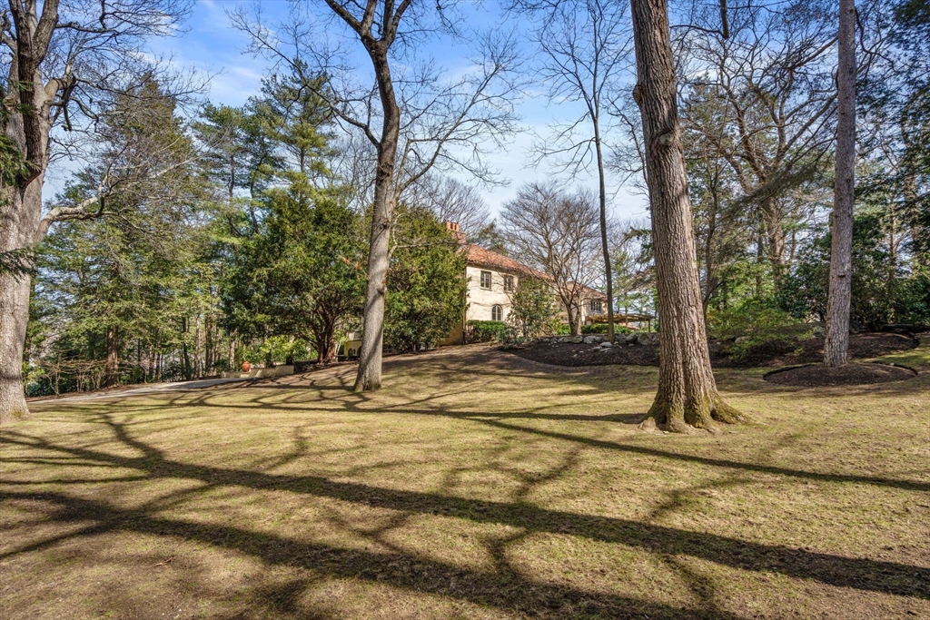 342 Warren St, Brookline, MA Photo #18