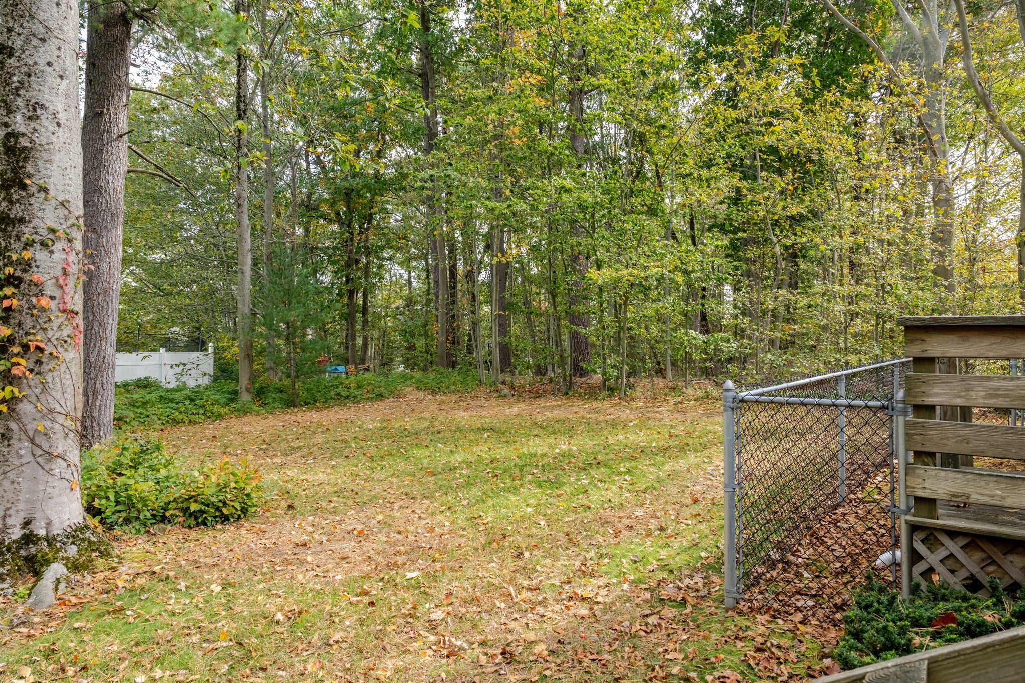 109 Russell Lane, Abington, MA, 109 Russell Lane, Abington, MA Photo #36