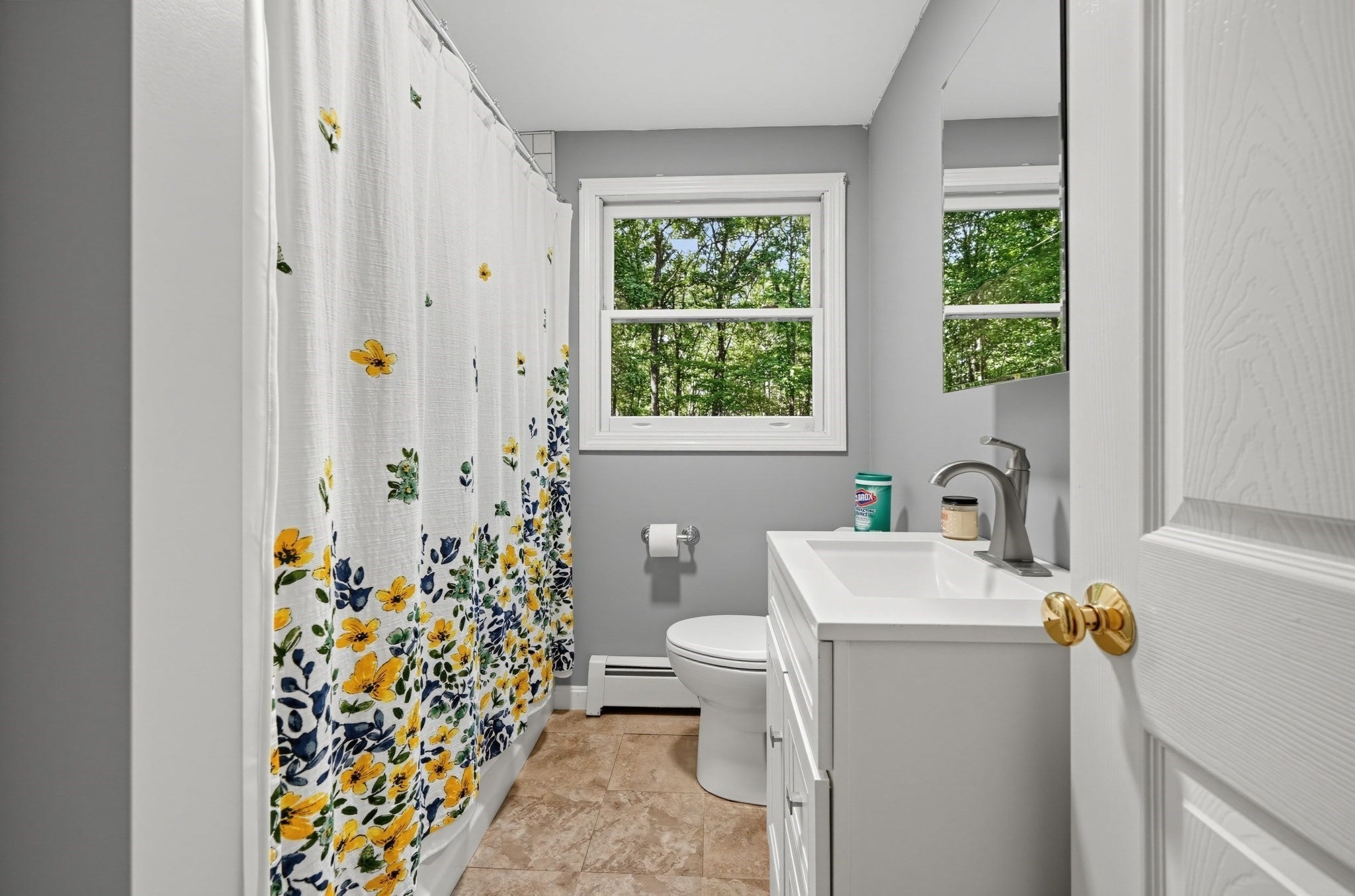 6 Woodview Dr, Hubbardston, MA, 6 Woodview Dr, Hubbardston, MA Photo #27