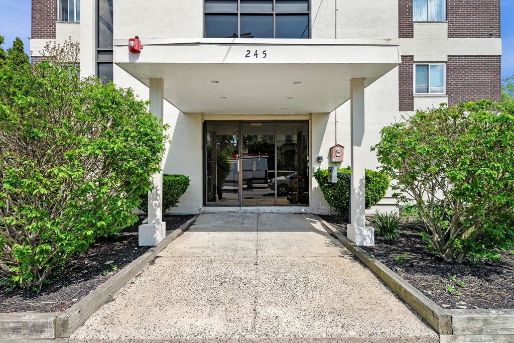 245 Lafayette Street 1H