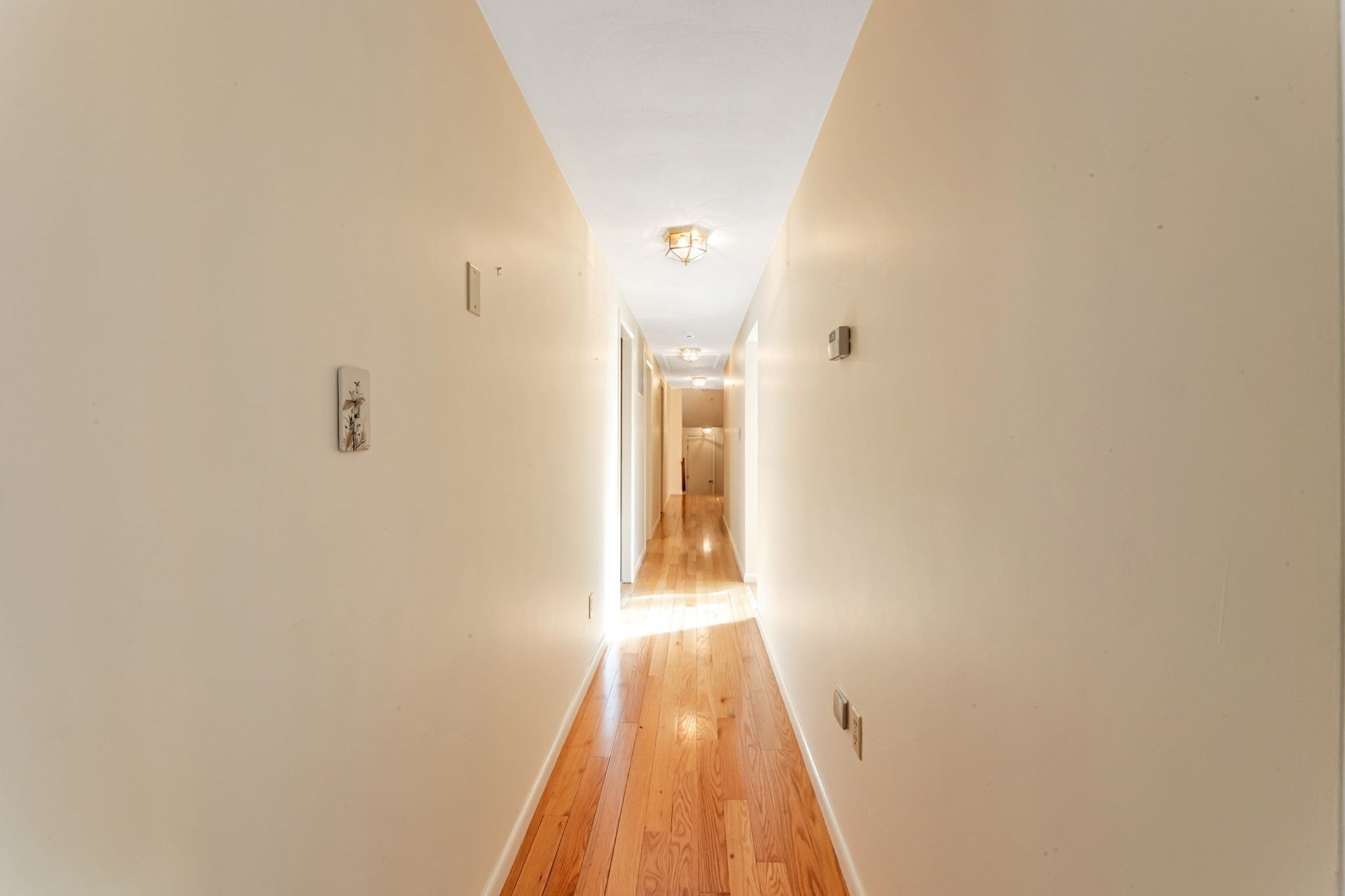 77 Woodward Ln