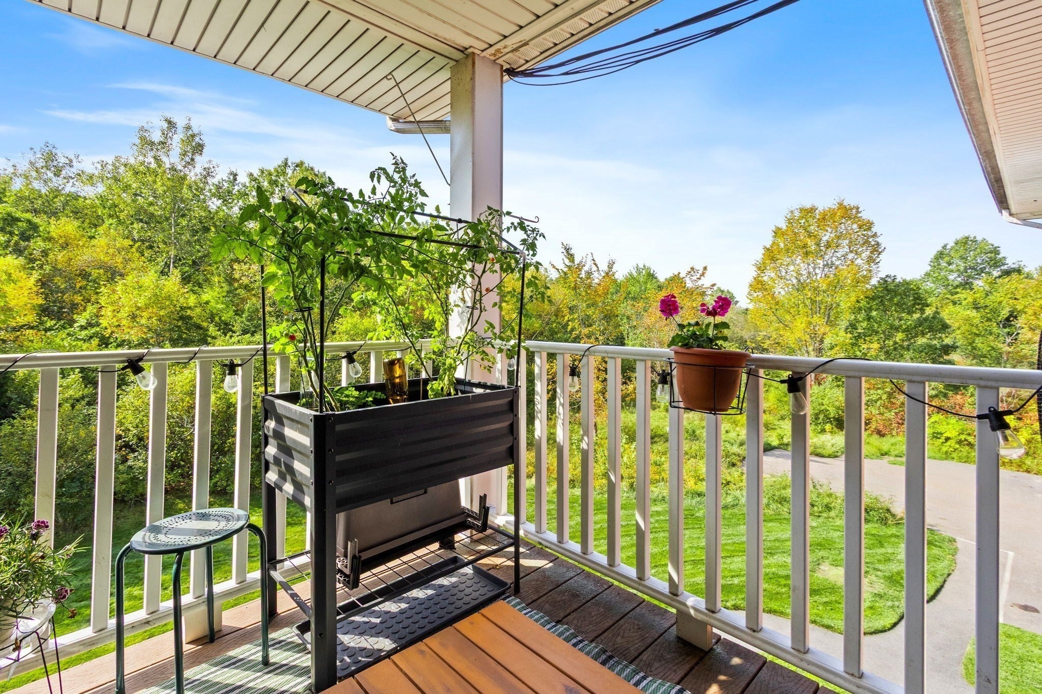 22 Dailey St #L, Attleboro, MA Photo #23