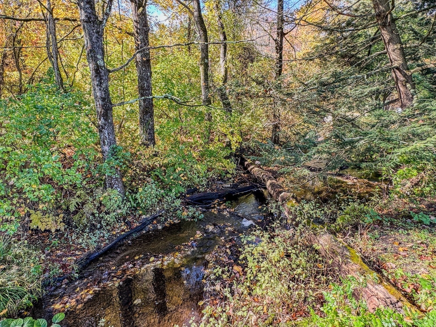 81 Maple Street, Northfield, MA, 81 Maple Street, Northfield, MA Photo #29