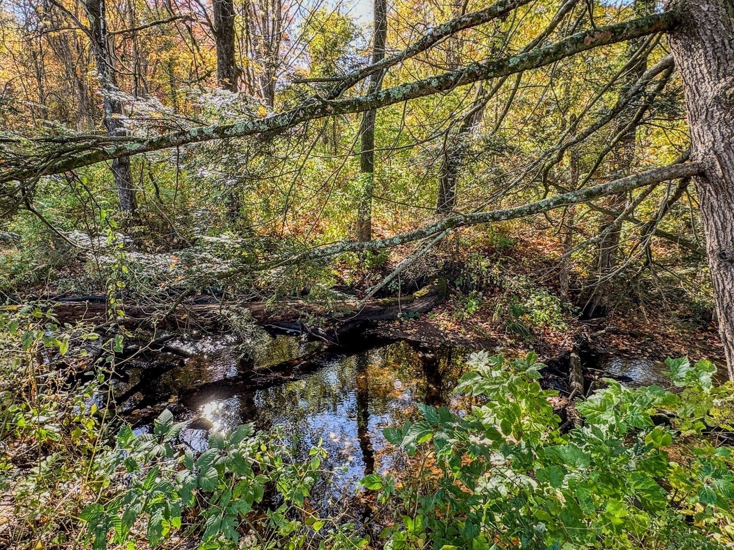 81 Maple Street, Northfield, MA, 81 Maple Street, Northfield, MA Photo #31
