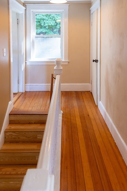 24 Belvidere Rd, Haverhill, MA, 24 Belvidere Rd, Haverhill, MA Photo #17