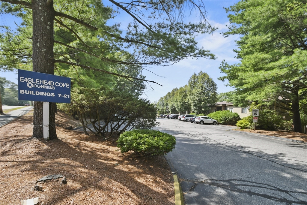 19 Eaglehead Terrace 4