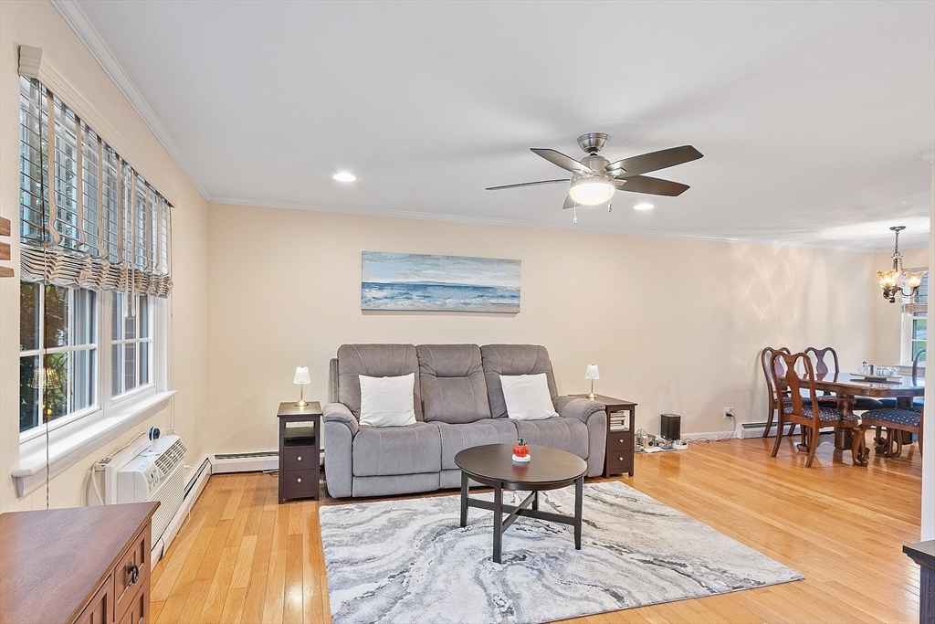 7 Kingston Street 7