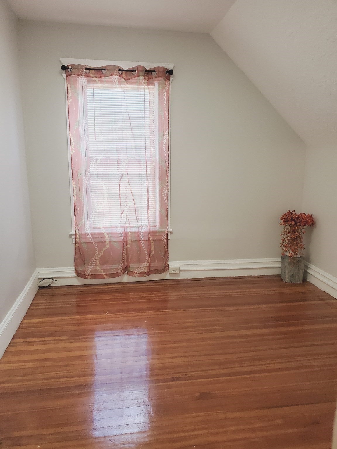 25 Kimberly Ave, Springfield, MA, 25 Kimberly Ave, Springfield, MA Photo #22