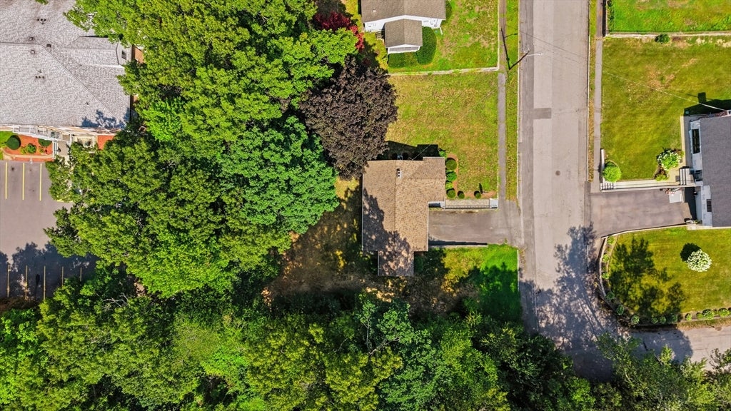 19 Daley Ave