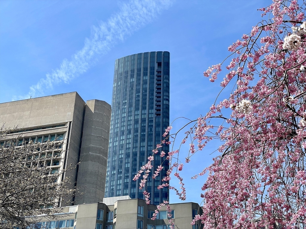 1 Dalton St 3108