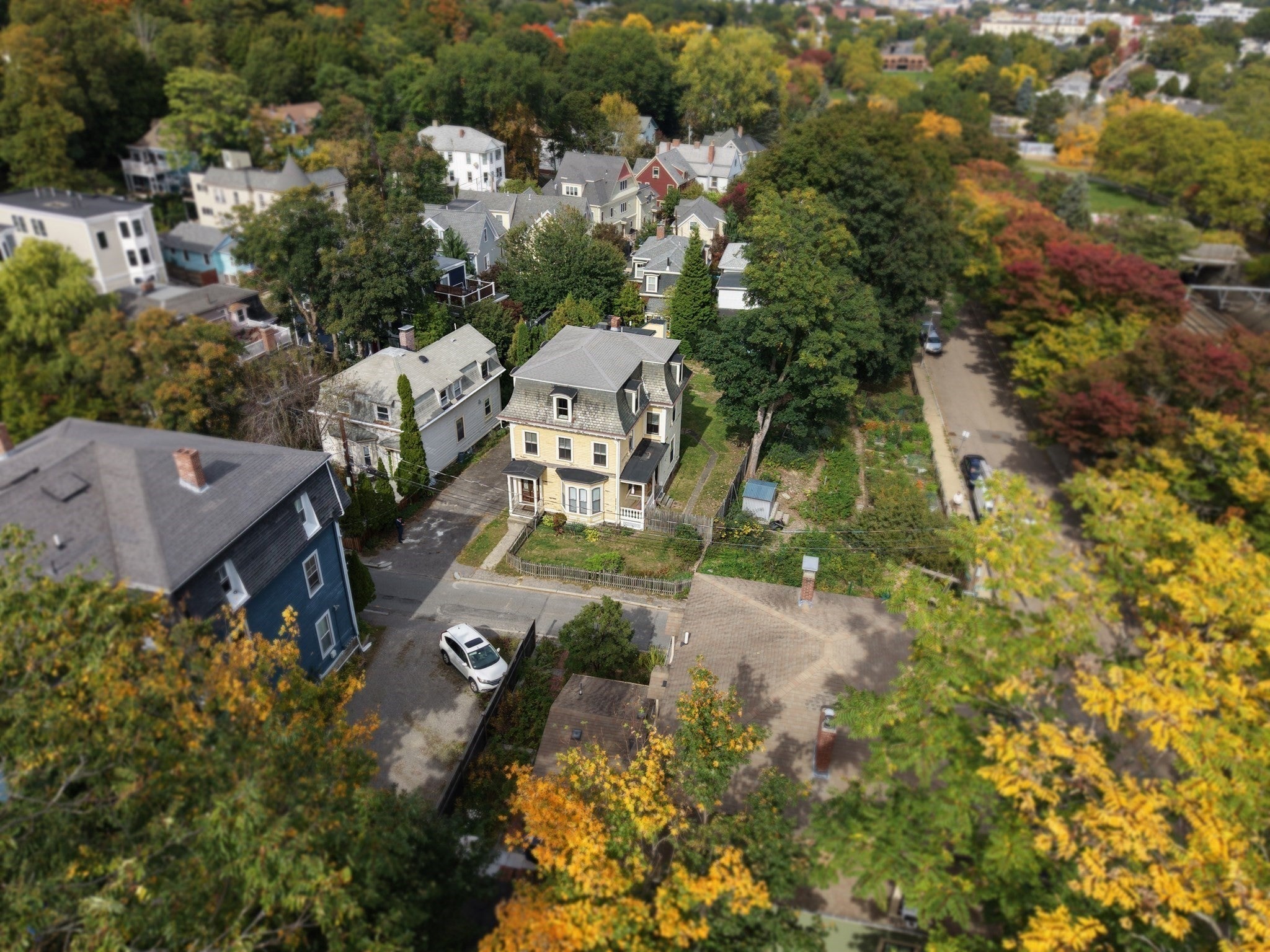 6 Oakdale St, Boston, MA, 6 Oakdale St, Boston, MA Photo #15