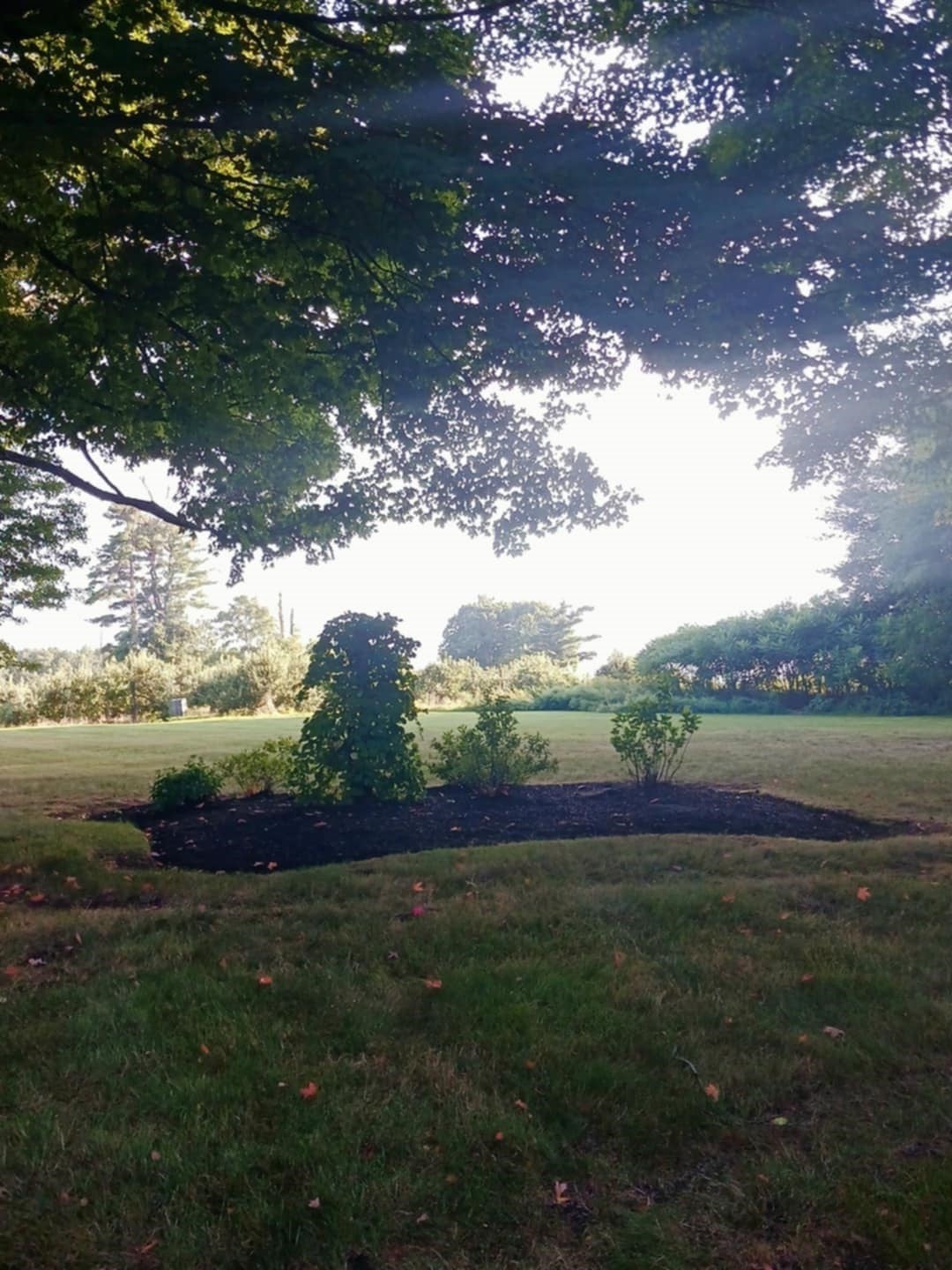445 Green St, Northborough, MA Photo #8