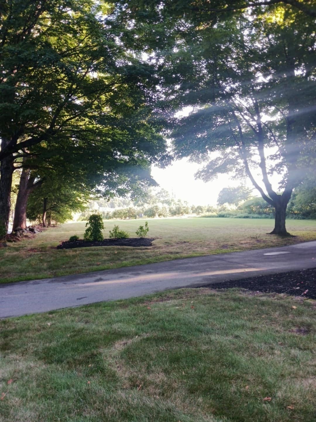 445 Green St, Northborough, MA Photo #7