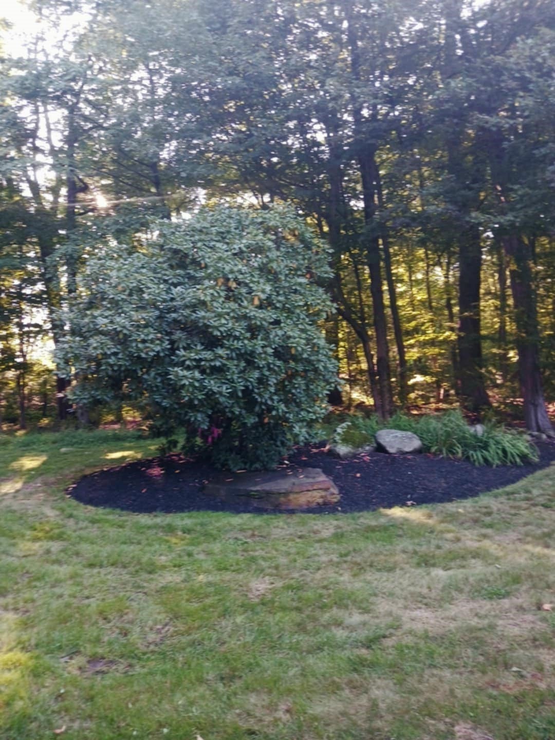 445 Green St, Northborough, MA Photo #10