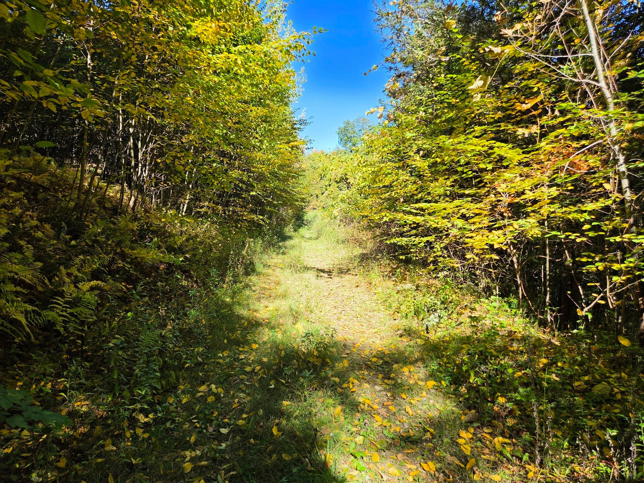 Lot 5A South Rd