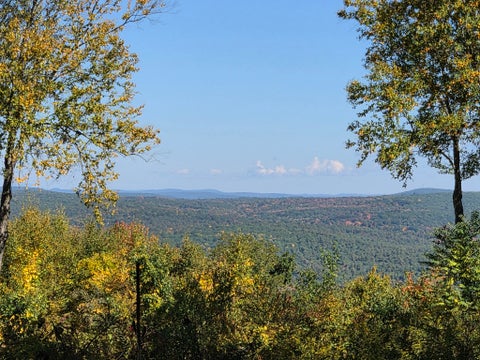 Featured picture for the property 73586335
