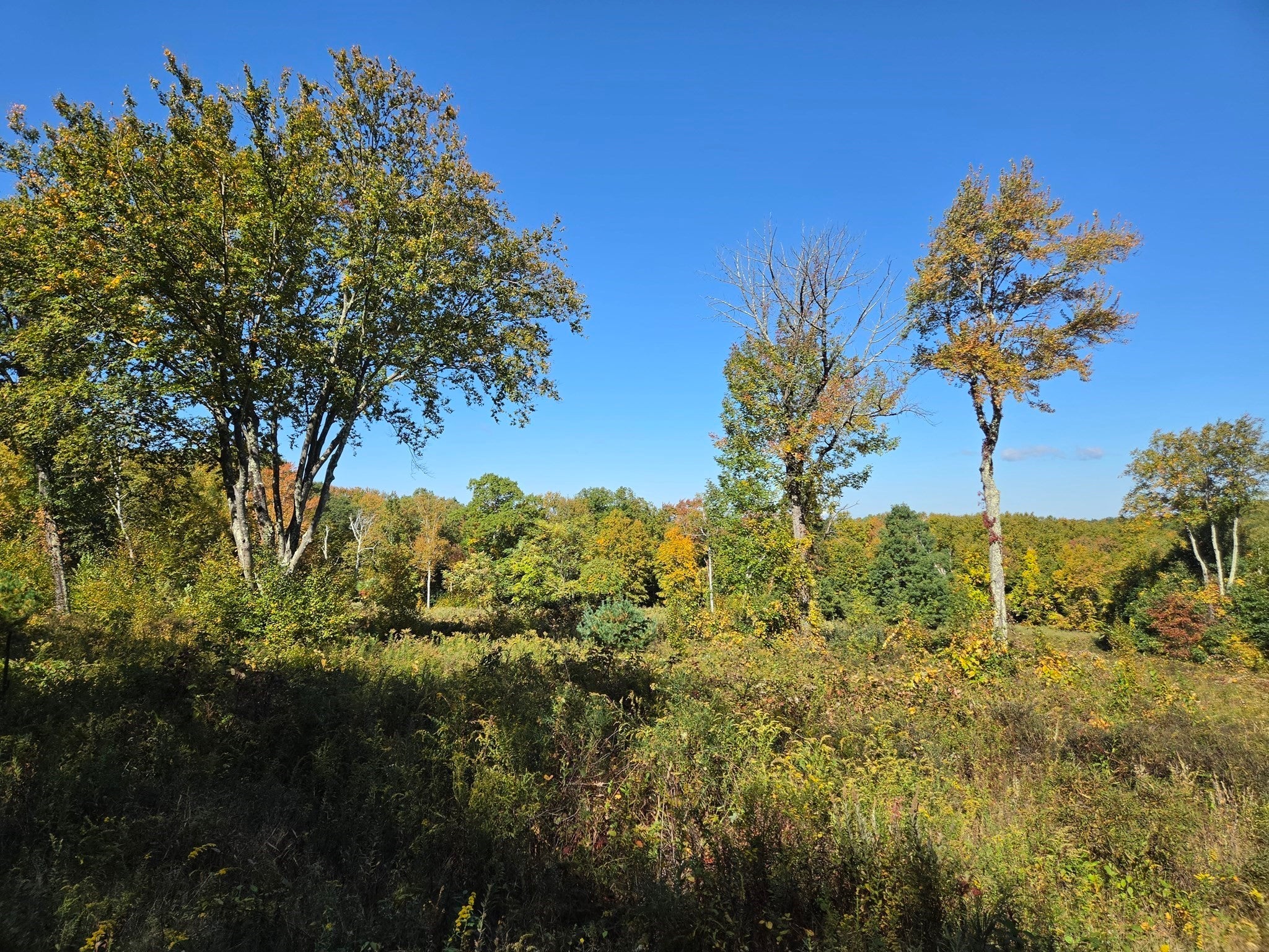 Lot 5A South Rd
