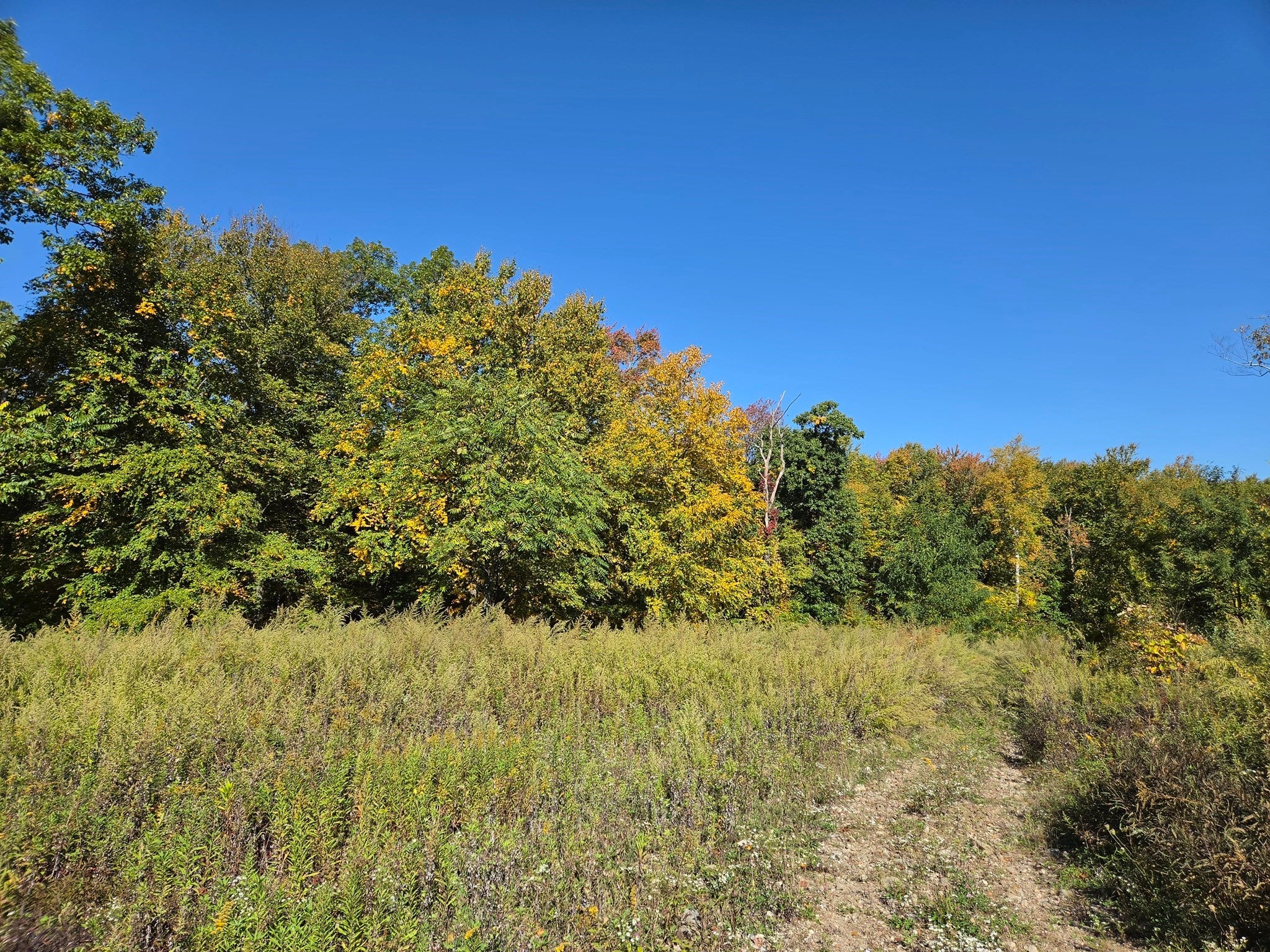 Lot 5A South Rd