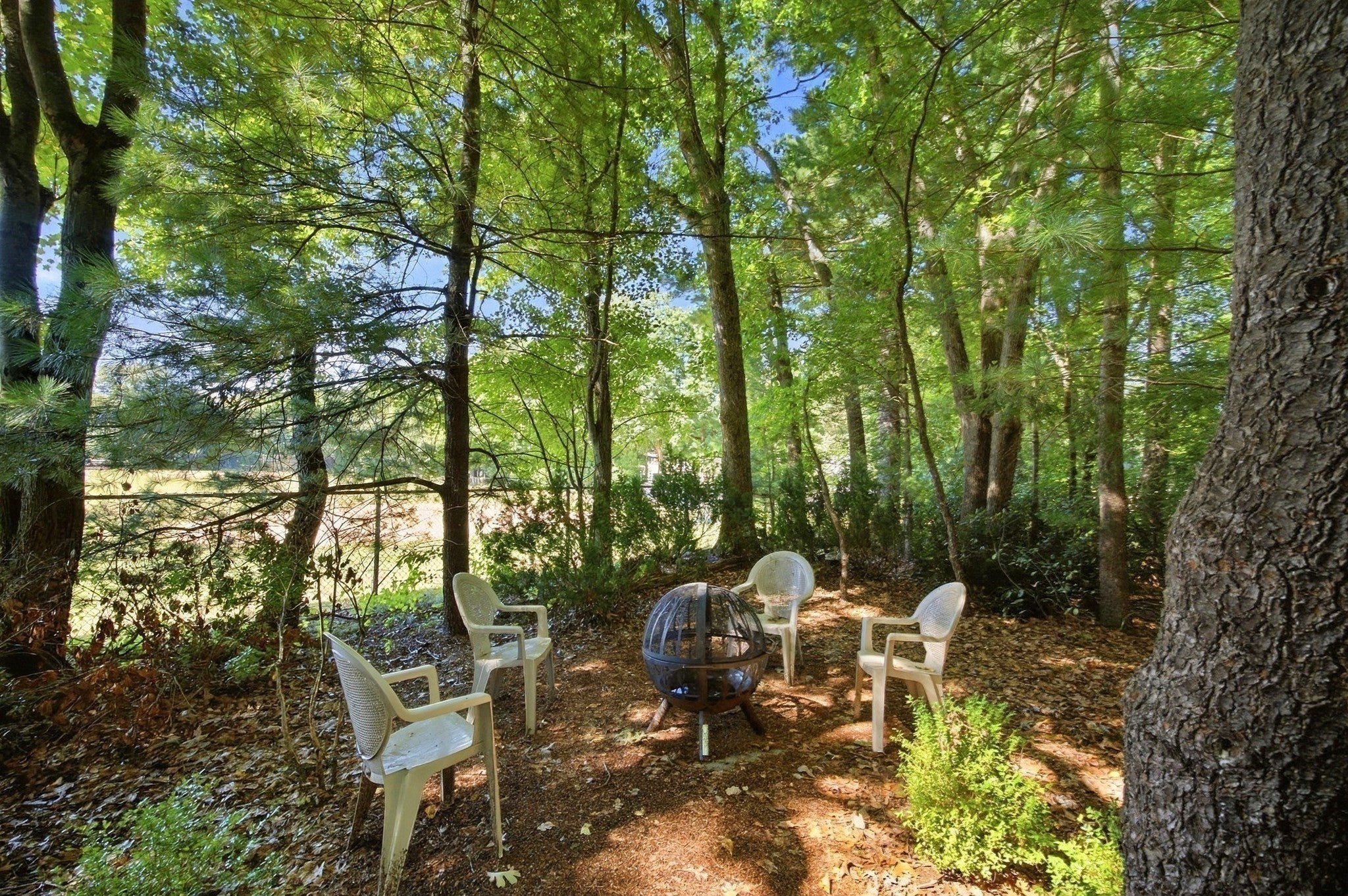 64 Cambridge Cir, Longmeadow, MA Photo #39