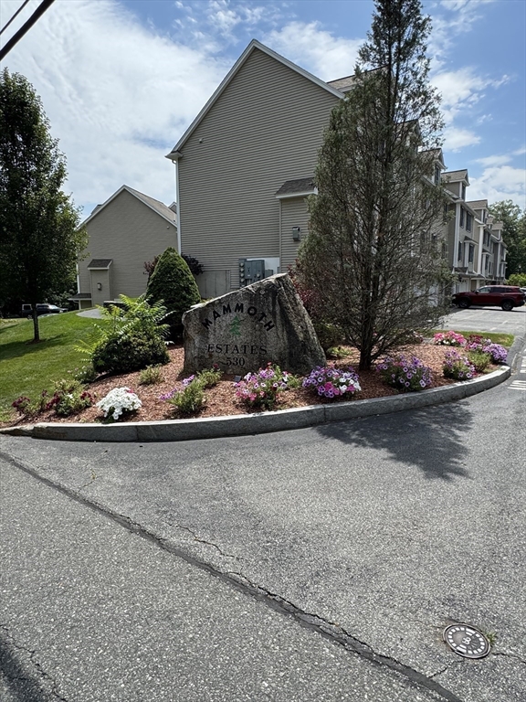 530 Mammoth Rd 32