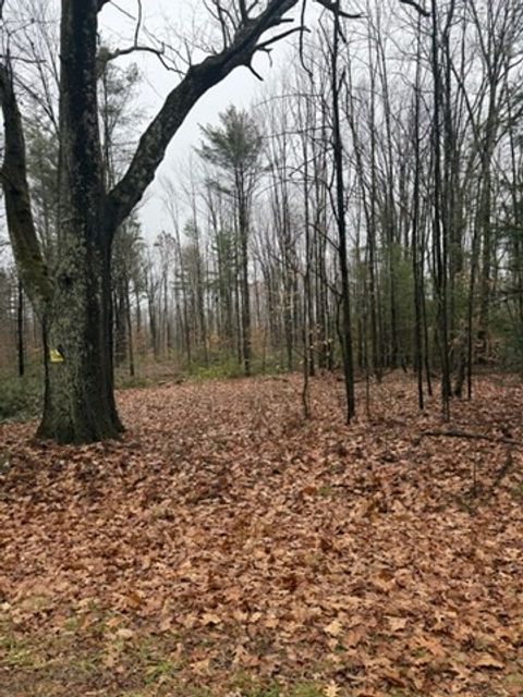 Photo of 0 Wendell Depot Rd, Wendell, MA 01379 (MLS # 73461894)